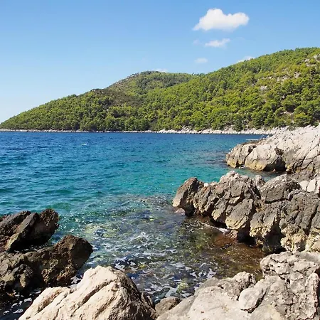 With Parking Space Brna, Korcula - 9188 *